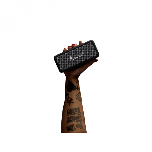 Портативная акустика Marshall EMBERTON II, Black and Steel в Грозном