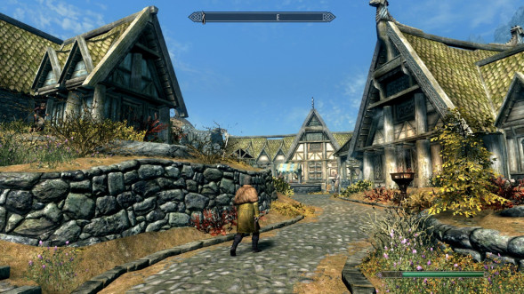 Elder Scrolls V: Skyrim Anniversary Edition [PS4, русская версия] в Грозном