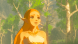 Legend of Zelda: Breath of the Wild [NSwitch, Русская версия] в Грозном