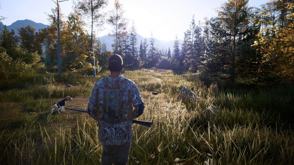 Игра Hunting Simulator 2 [PS5, английская версия] в Грозном